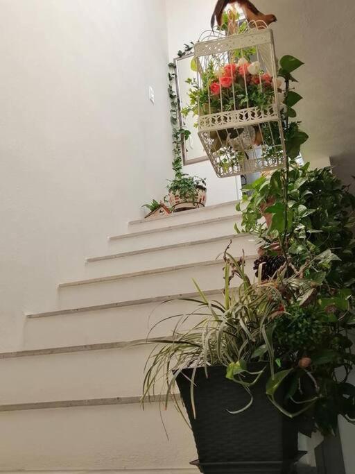 Casa Adhita, Tu Confort Es Nuestra Prioridad. 야우테펙 외부 사진